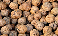 BIO-Walnussöl